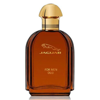 Oud EDP Spray 3.4 oz