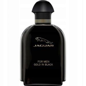 Gold in Black EDT 3.4 oz Tester