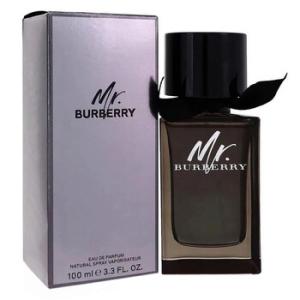 Mr. Burberry EDP Spray 3.3 oz Tester