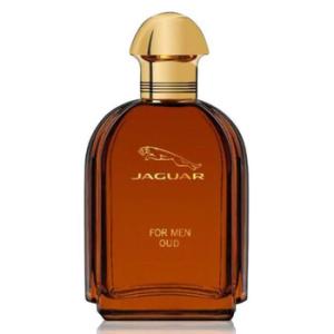 Oud EDP Spray 3.4 oz