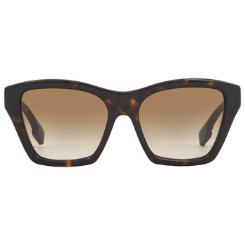 Arden Brown Gradient Butterfly Sunglasses BE4391 300213