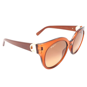 Brown Gradient Butterfly Sunglasses SF1031S 261
