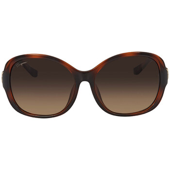 Brown Gradient Butterfly Sunglasses SF744SLA 214