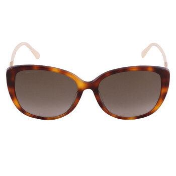 Brown Gradient Cat Eye Sunglasses ALYFS 0086HA