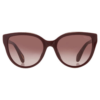 Brown Gradient Cat Eye Sunglasses SCH317S 09FH