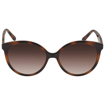 Brown Gradient Round Sunglasses SF1071S 240