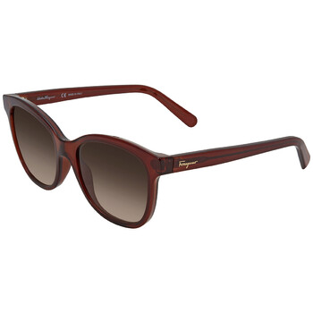 Brown Gradient Square Sunglasses SF834S 210