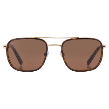 Brown Navigator Sunglasses BV5053 202253