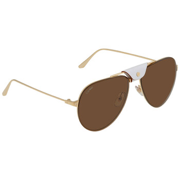 Brown Pilot Sunglasses CT0166S 010