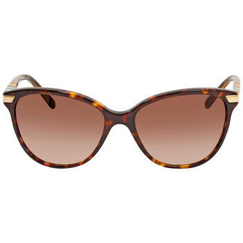 Regent Brown Gradient Cat Eye Ladies Sunglasses BE4216 300213