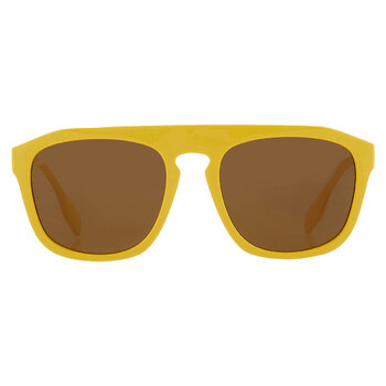 Wren Brown Browline Sunglasses BE4396U 407073