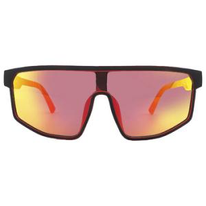 Bordeaux Mirror Sunglasses SE6249 02U