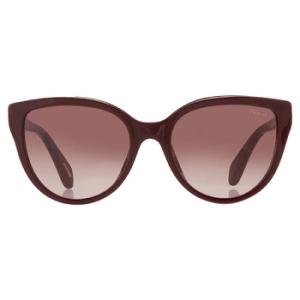 Brown Gradient Cat Eye Sunglasses SCH317S 09FH