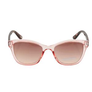 Brown Gradient Cat Eye Sunglasses SE6070 72F