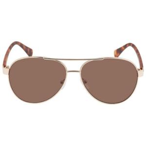 Brown Pilot Sunglasses CK19316S 717