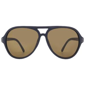 Brown Pilot Sunglasses CK19532S 410