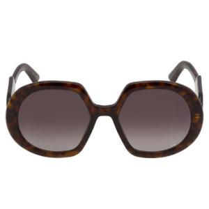 Gradient Smoke Butterfly Sunglasses DIORBOBBY R1U 20A1