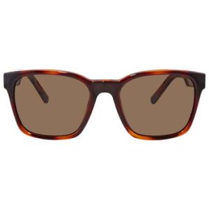 Green Square Sunglasses SF959S 214
