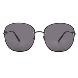 Grey Butterfly Sunglasses SF281SA 001