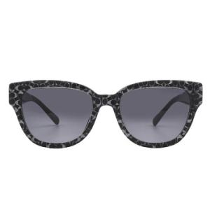 Grey Gradient Butterfly Sunglasses HC8379U 55208G