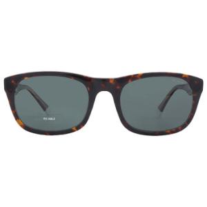 Polarized Green Shield Sunglasses PLD 2104SX 0KRZUC