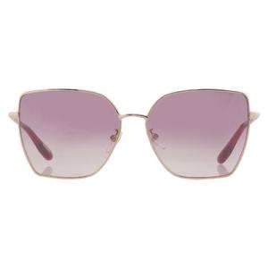 Purple Butterfly Sunglasses SCHF76V A39V