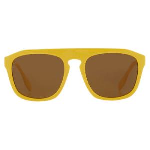 Wren Brown Browline Sunglasses BE4396U 407073