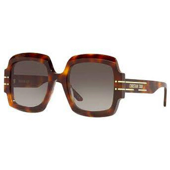 Brown Gradient Butterfly Sunglasses DIORSIGNATURE S1U CD40049U 53B