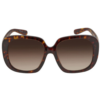 Brown Gradient Square Sunglasses HC8323U 51203B