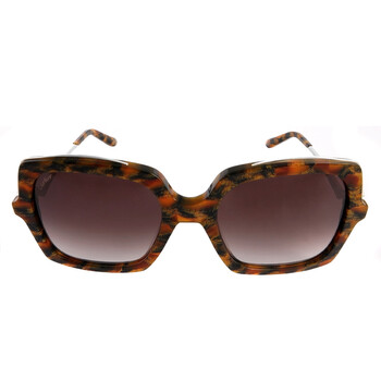 Brown Square Sunglasses CT0117S 003