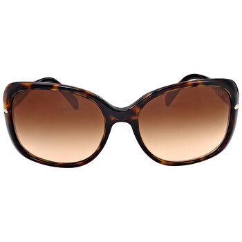 Conceptual Arrow Brown Gradient Butterfly Ladies Sunglasses PR 08OS 2AU6S1