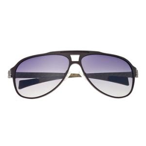 Apollo Titanium Sunglasses