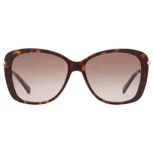 Brown Gradient Butterfly Sunglasses LO616S 213