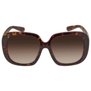 Brown Gradient Square Sunglasses HC8323U 51203B