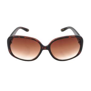 Gradient Brown Butterfly Sunglasses SE6014 52F