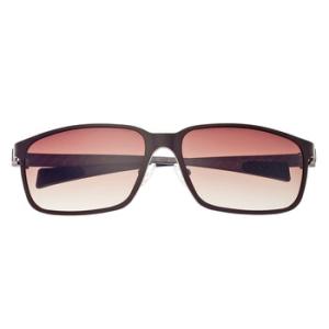 Neptune Titanium Sunglasses