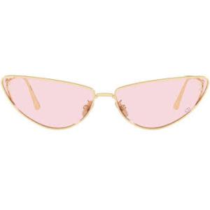 Pink Cat Eye Ladies Sunglasses MISSDIOR B1U CD40094U 10Y