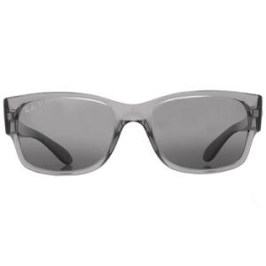 Polarized Smoke Square Unisex Sunglasses RB43886647G355