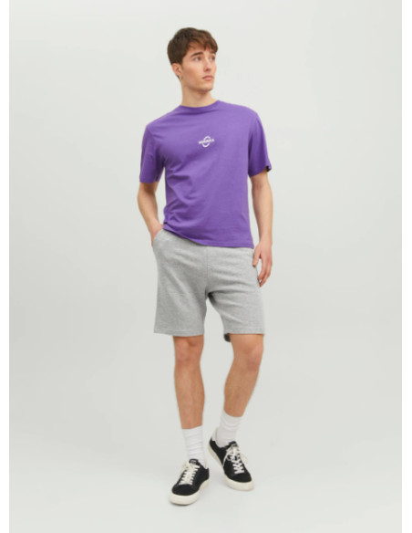 Jack & Jones - JPSTSHARK SWEAT SHORTS AT