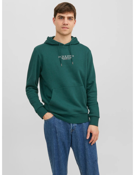 Jack &amp; Jones - JPRBLUARCHIE SWEAT HOOD NOOS