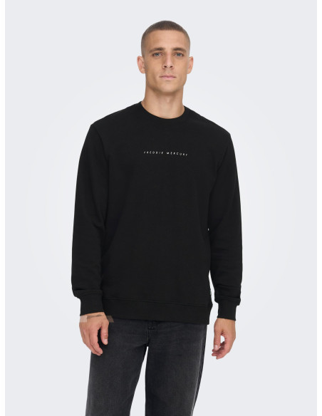 ONLY &amp; SONS - ONSFREDDIE REG CREW NECK SWEAT