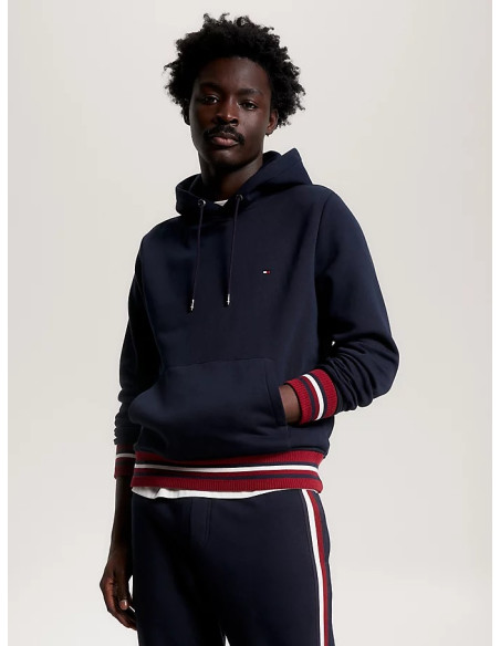 Tommy Hilfiger - BOLD GLOBAL STRIPE HOODY