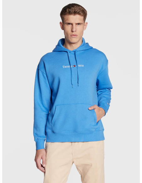 Tommy Jeans - TJM REG LINEAR HOODIE