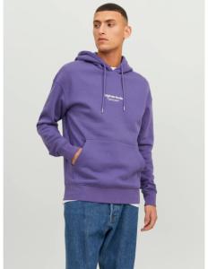 Jack &amp; Jones - JORVESTERBRO SWEAT HOOD NOOS