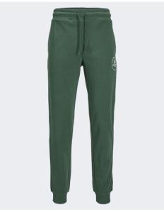 Jack &amp; Jones - JPSTGORDON JJSWIFT SWEAT PANTS NOOS