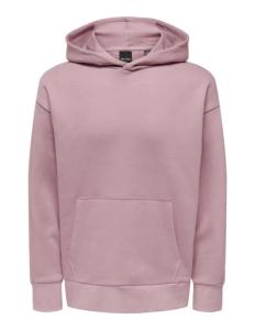 Only &amp; Sons - ONSDAN LIFE RLX HEAVY SWEAT HOODIE NOOS