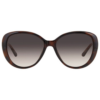 Brown Gradient Butterfly Sunglasses AMIRAGS 0086HA