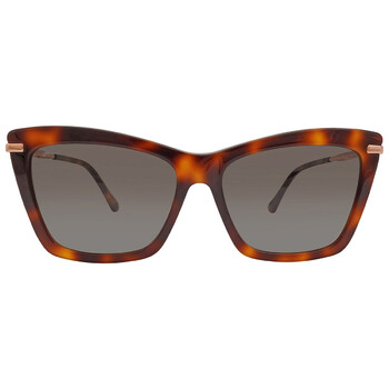 Brown Gradient Cat Eye Sunglasses SADYS 0086HA