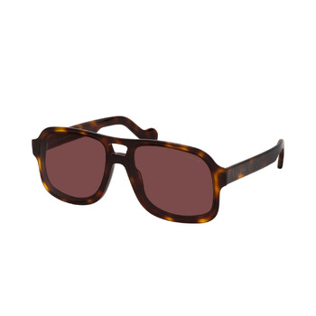 Brown Navigator Sunglasses ML0170 52E