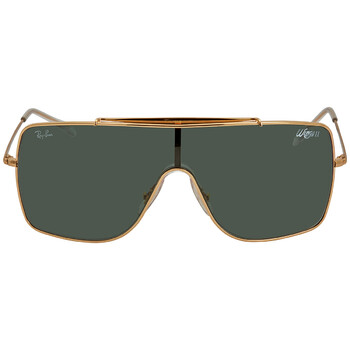 Wings II Green Classic Square Sunglasses RB3697 90507
